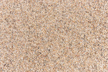 The Pattern Small Pebbles Stone As Background