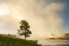 Steaming Mist At Sunrise Along Firehole River, Yellowstone National Park (Wyoming, Montana).