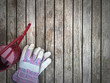 Gardening Gloves and Watering Can