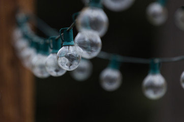 Row of Light Bulbs