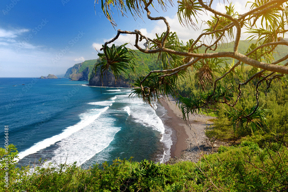 Stunning view of rocky beach of Pololu Valley, Big Island, Hawaii - obrazy, fototapety, plakaty 