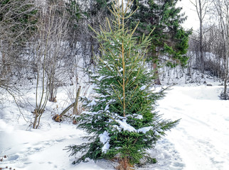 Sticker - Beautiful landscape at resort on winter day