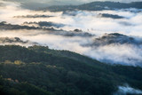 Fototapeta Las - Mountain and the fog