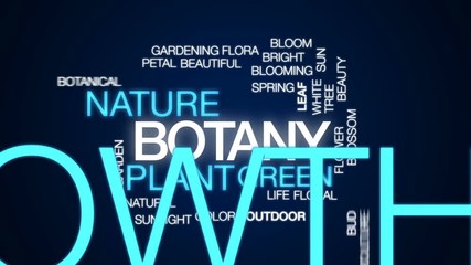 Wall Mural - Botany animated word cloud, text design animation.