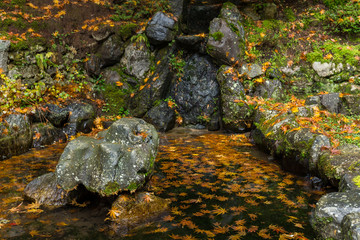 Poster - Japanese temple park in autumn