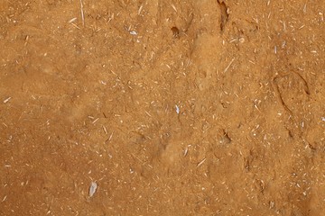 Canvas Print - Texture of gold aged clay adobe