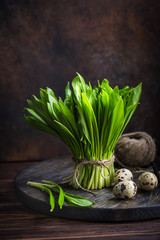 Canvas Print - fresh ramson (wild garlic)  and quail eggs