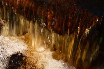 Water turbulent stream of a forest stream in the spring