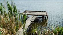 Wooden Bridge For Fishing In The Reeds In Summer On The River