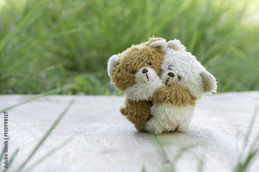 Two teddy bears hugging. on wooden in garden Stock Photo Adobe Stock