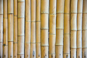  Beautiful Japanese bamboo background 