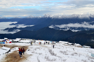 After the snow cattle back mountain