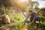 man planting crops in communal garden