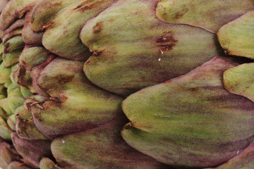 Wall Mural - fresh artichoke texture