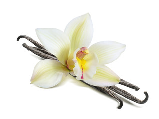 Wall Mural - Single vanilla flower pods isolated