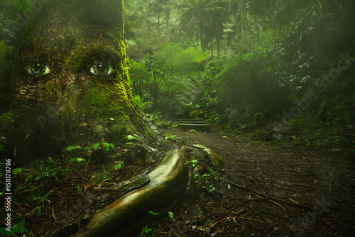 big tree with eyes in tropical mysterious green forest with fairytale light Poster Mural XXL