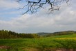 Naturlandschaft - Frühlingslandschaft - Hügellandschaft - Löwenzahnwiesen