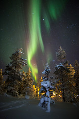 aurora borealis (northern lights) in lapland, finland.
