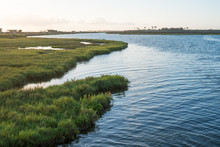 Bolsa Chica Wetlands, Huntington Beach In Southern California 