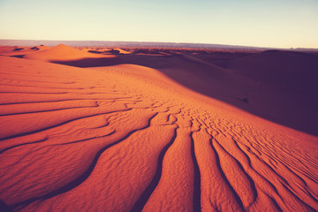 Wall Mural - Sand dune