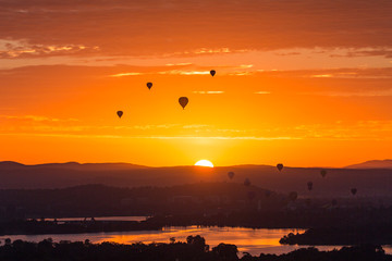 Spectacular  Hot Air Balloons Up In The Air In Canberra