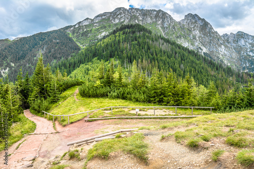 Fototapeta Giewont  panorama-gor-szlak-turystyczny-pod-skalistym-gorskim-lasem-sosnowym