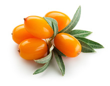 Sea Buckthorn. Fresh Ripe Berries With Leaves Isolated On White Background.