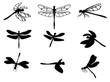 Set of silhouettes of dragonflies, vector eps 10