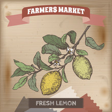 Color Fresh Lemons On A Branch Hand Drawn Sketch.