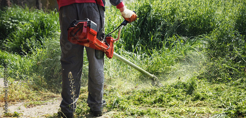 Fotomural  mowing trimmer - worker cutting grass closeup.