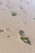 People leave tracks on sand beach El Cotillo, Fuerteventura, Canary Islands, Spain