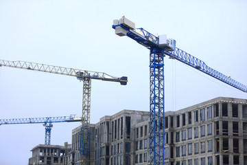 Wall Mural - Tower cranes on a construction