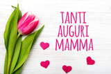 Fototapeta Tulipany - Mother's day card with Italian words: Happy mother's day. Tulip flower small hearts on white wooden background, copy space