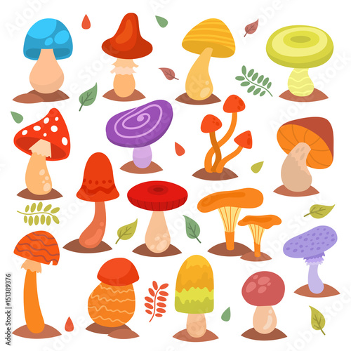 Different cartoon mushrooms isolated on white nature food design collection f...