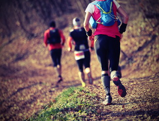 Wall Mural - Group of athletes running the country race