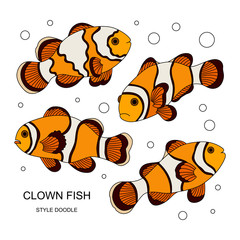 Wall Mural - Clown fish.