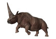 3D Rendering Elasmotherium on White