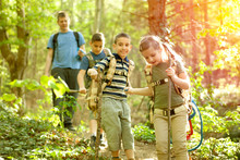 Children Scouts And Father Explore The Beautiful Forest