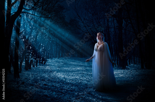  Obrazy Elfy   elfka-dziewczyna-w-lesie
