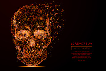 Abstract mash line and point skull in flames style on dark background with an inscription. Vector concept of data protection. Starry sky or space, consisting of stars and the universe.