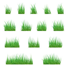 Set Green Grass Borders, Vector Illustration. Abstract Field Texture. Symbol Of Summer, Plant, Eco And Natural, Growth Or Fresh. Design For Card, Banner. Meadow Template For Print Products.