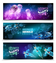 Wall Mural - Underwater Colorful Horizontal Banners Set 