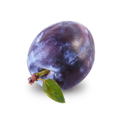 Poster - plum