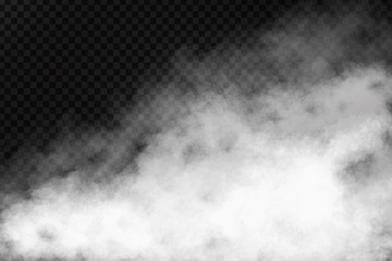 Wall Mural - Vector realistic isolated smoke effect on the transparent background. Realistic fog or cloud for decoration.