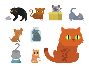 Wall Mural - Cute cats character different pose funny animal domestic kitten vector illustration.