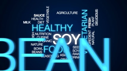 Wall Mural - Soy animated word cloud, text design animation.