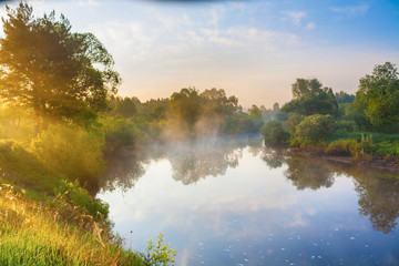 Wall Mural - summer rural landscape with river, forest and fog