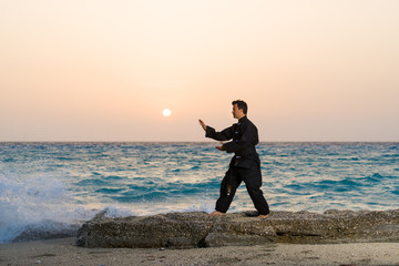 man performs tai chi moves