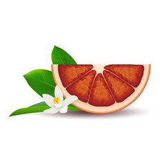 Wall Mural - Isolated half of circle juicy red bloody orange with white flower, green leaf and shadow on white background. Realistic colored slice.