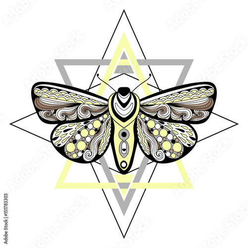 Hand Drawn Moth Composition With Sacred Geometry Tribal Template